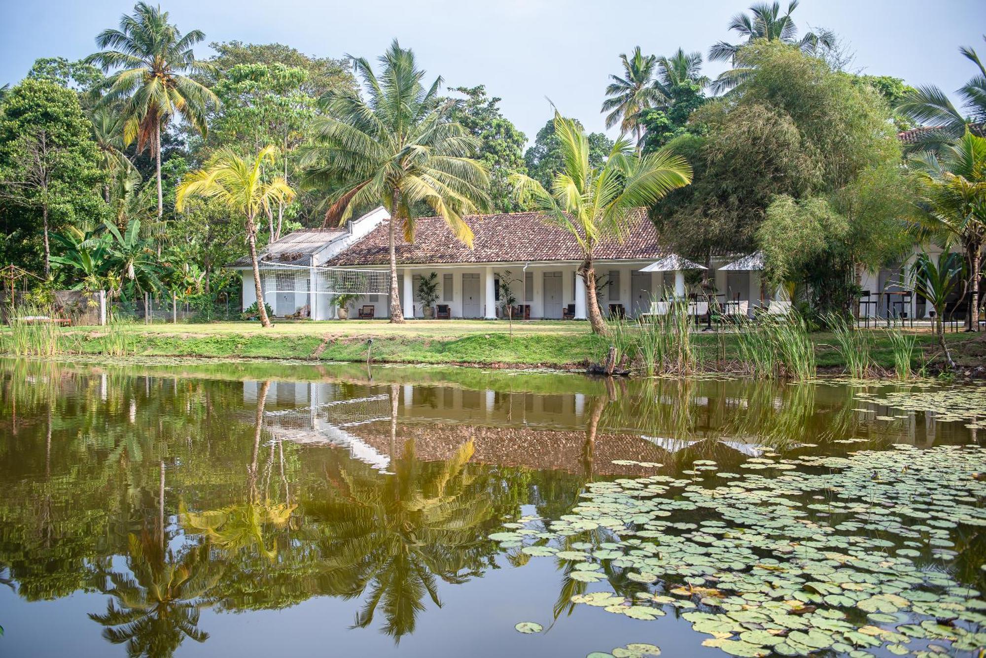 Good Story At Nirbana Island Bed & Breakfast Ahangama Luaran gambar